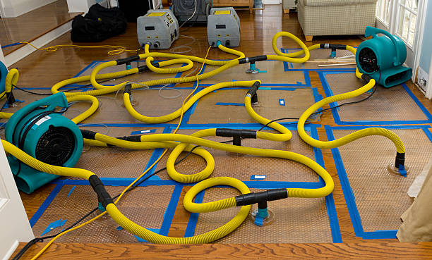 Professional Crawl Space Water Removal technician working in Canyon, TX
